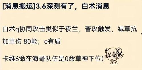 原神白术最新爆料视频,神秘术士觉醒，神秘力量即将揭晓