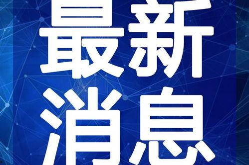 二宁最新爆料新闻视频下载,揭秘视频背后的惊人真相
