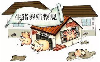 养殖禁养最新爆料,养殖禁养政策调整，行业变革在即