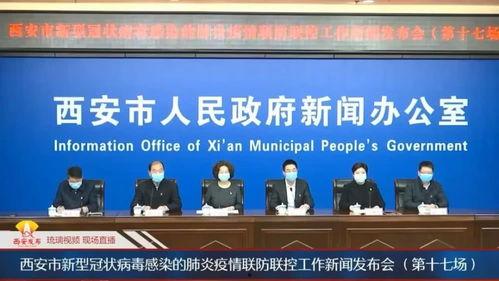 西安飞翔最新爆料新闻报道,揭秘项目进展与未来规划