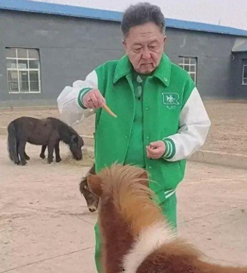 哈皮马最新爆料,揭秘娱乐圈幕后真相